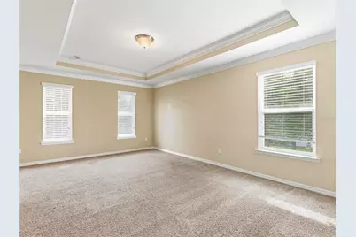 2499 Calvano Drive, Land O Lakes, FL 34639 - Photo 19