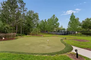 9317 Mandrake Ct, Tampa, FL 33647 - Photo 35