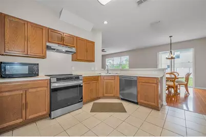 17539 Balmaha Drive, Land O Lakes, FL 34638 - Photo 13