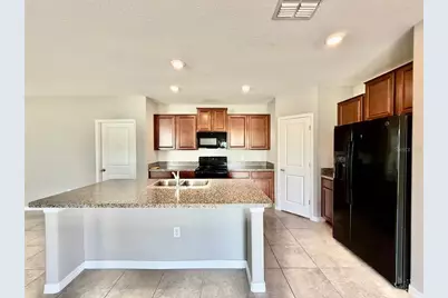 10524 Carloway Hills Drive, Wimauma, FL 33598 - Photo 9