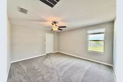 10524 Carloway Hills Drive, Wimauma, FL 33598 - Photo 17