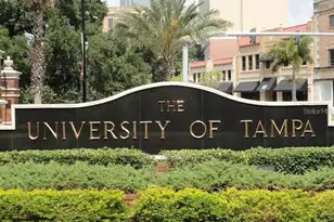 1332 W Gray St, Tampa, FL 33606 - Photo 31