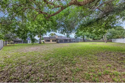 3334 Brian Road N, Palm Harbor, FL 34685 - Photo 5