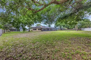3334 Brian Rd N, Palm Harbor, FL 34685 - Photo 5