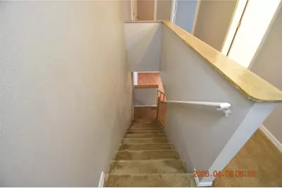 2701 Penzance Street #2701, Palm Harbor, FL 34684 - Photo 21