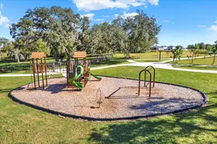 10186 Shoreline Vw Wy, Wesley Chapel, FL 33545 - Photo 57