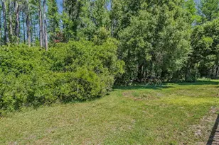 19545 Post Island Loop, Land O Lakes, FL 34638 - Photo 39