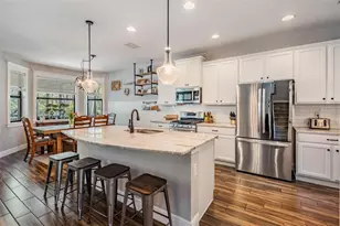 19545 Post Island Loop, Land O Lakes, FL 34638 - Photo 19
