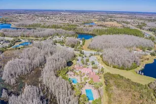 19545 Post Island Loop, Land O Lakes, FL 34638 - Photo 69
