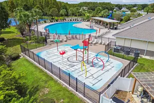 19157 Andrea Lynn Ln, Land O Lakes, FL 34638 - Photo 59