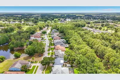 12912 Starling Drive, Odessa, FL 33556 - Photo 71
