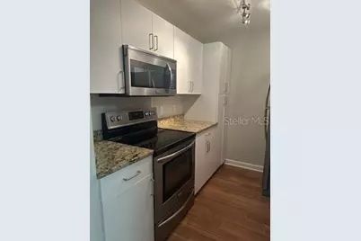 3325 Bayshore Boulevard #1, Tampa, FL 33629 - Photo 3
