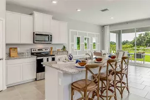 32598 Rosepine Blvd, Wesley Chapel, FL 33543 - Photo 3