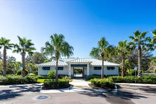 8728 Starry Night Ter, Parrish, FL 34219 - Photo 45