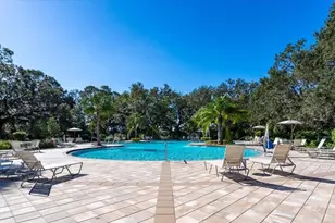 8728 Starry Night Ter, Parrish, FL 34219 - Photo 53