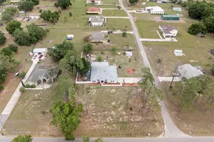 6702 Josie Dr, Seffner, FL 33584 - Photo 47