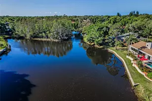 3216 Harvest Moon Dr, Palm Harbor, FL 34683 - Photo 75