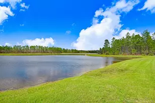 16247 November Rain Ct, Land O Lakes, FL 34638 - Photo 39