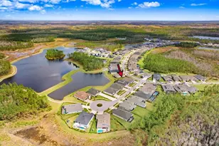 16247 November Rain Ct, Land O Lakes, FL 34638 - Photo 53