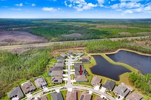 16247 November Rain Ct, Land O Lakes, FL 34638 - Photo 51