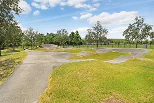 16247 November Rain Ct, Land O Lakes, FL 34638 - Photo 67