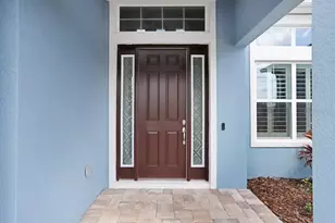 16247 November Rain Ct, Land O Lakes, FL 34638 - Photo 3