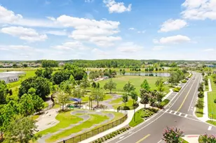 16247 November Rain Ct, Land O Lakes, FL 34638 - Photo 59