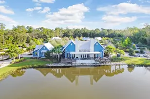 16247 November Rain Ct, Land O Lakes, FL 34638 - Photo 55