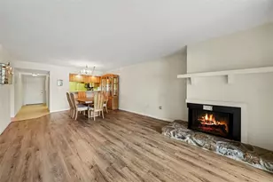 172 Lakeview Way, Oldsmar, FL 34677 - Photo 7