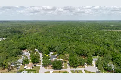 5402 Swallow Drive, Land O Lakes, FL 34639 - Photo 41