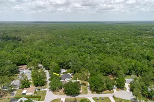 5402 Swallow Dr, Land O Lakes, FL 34639 - Photo 41