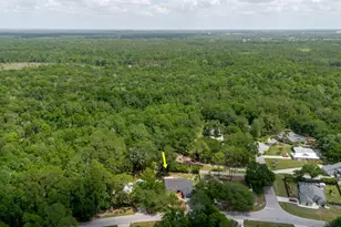 5402 Swallow Dr, Land O Lakes, FL 34639 - Photo 45