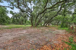 1412 Union Pacific Dr, Plant City, FL 33566 - Photo 59