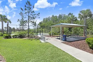 3044 Suncoast Plains Dr, Odessa, FL 33556 - Photo 45