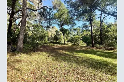 [Address not provided], Citrus Springs, FL 34434 - Photo 5