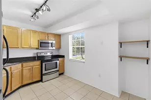 3402 Latania Dr, Tampa, FL 33618 - Photo 11