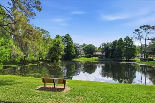 5902 Hammock Woods Dr, Odessa, FL 33556 - Photo 43