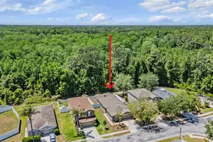 12715 White Bluff Rd, Hudson, FL 34669 - Photo 7