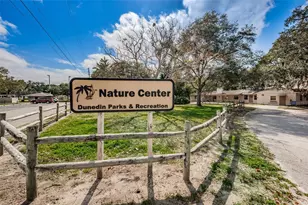 253 Park Cir S, Dunedin, FL 34698 - Photo 65