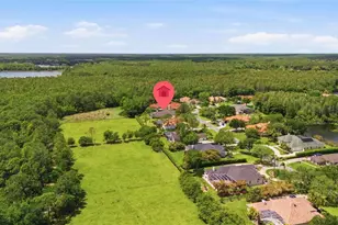 18629 Avenue Capri, Lutz, FL 33558 - Photo 49