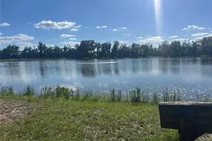 10495 Gliding Eagle Wy, Land O Lakes, FL 34638 - Photo 49