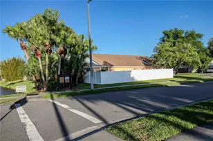 509 Cypress View Dr, Oldsmar, FL 34677 - Photo 51