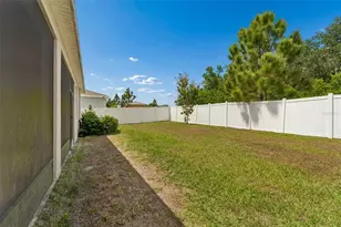 35977 Morse Willow Ct, Zephyrhills, FL 33541 - Photo 43