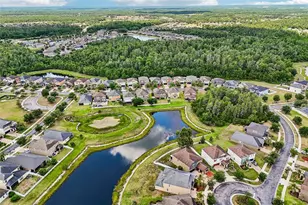 19417 Paddock View Dr, Tampa, FL 33647 - Photo 57