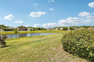 19417 Paddock View Dr, Tampa, FL 33647 - Photo 43