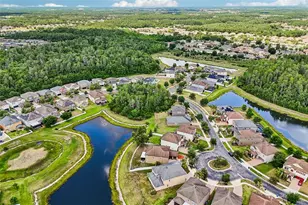 19417 Paddock View Dr, Tampa, FL 33647 - Photo 45