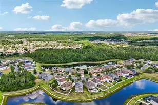 19417 Paddock View Dr, Tampa, FL 33647 - Photo 51