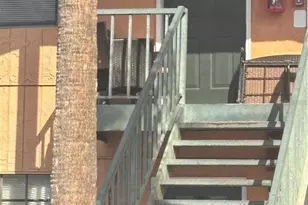 12403 Hibiscus Oak Pl, Tampa, FL 33612 - Photo 1