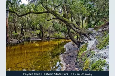 N Barlow Road, Wauchula, FL 33873 - Photo 15
