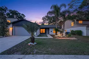 14841 Oak Vine Dr, Lutz, FL 33559 - Photo 1